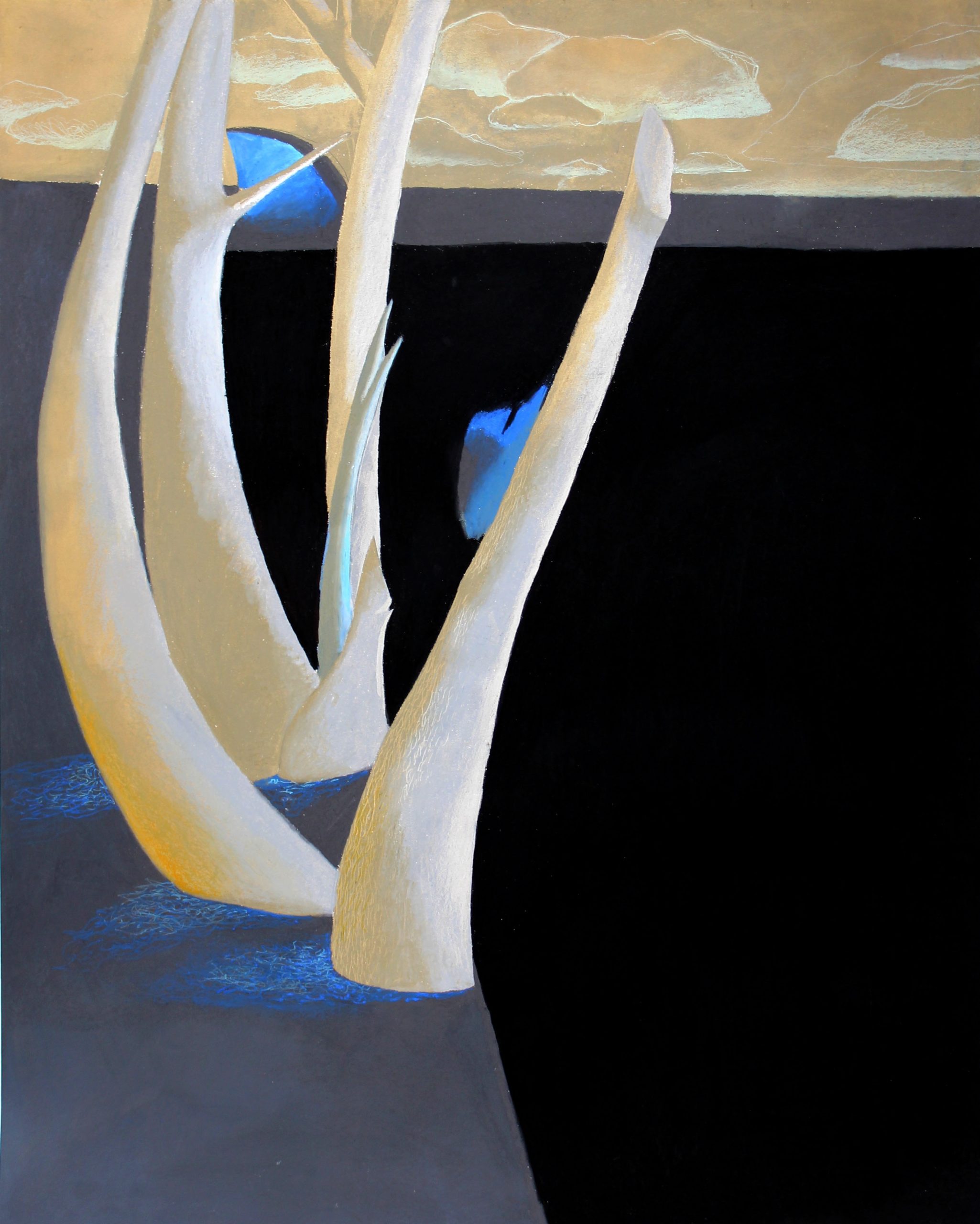 anaemic field raphael barratt