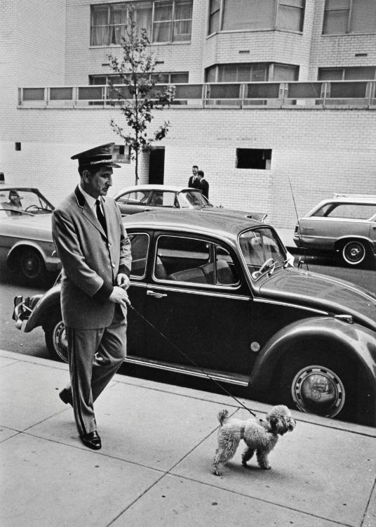 Doorman Ralph Savastani Walking Poodle on the Upper East Side, NYC, 1966 Garry Winogrand