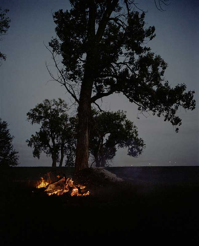 Fire-and-Tree-Omaha-NE-2005-2018-Gregory-Halpern