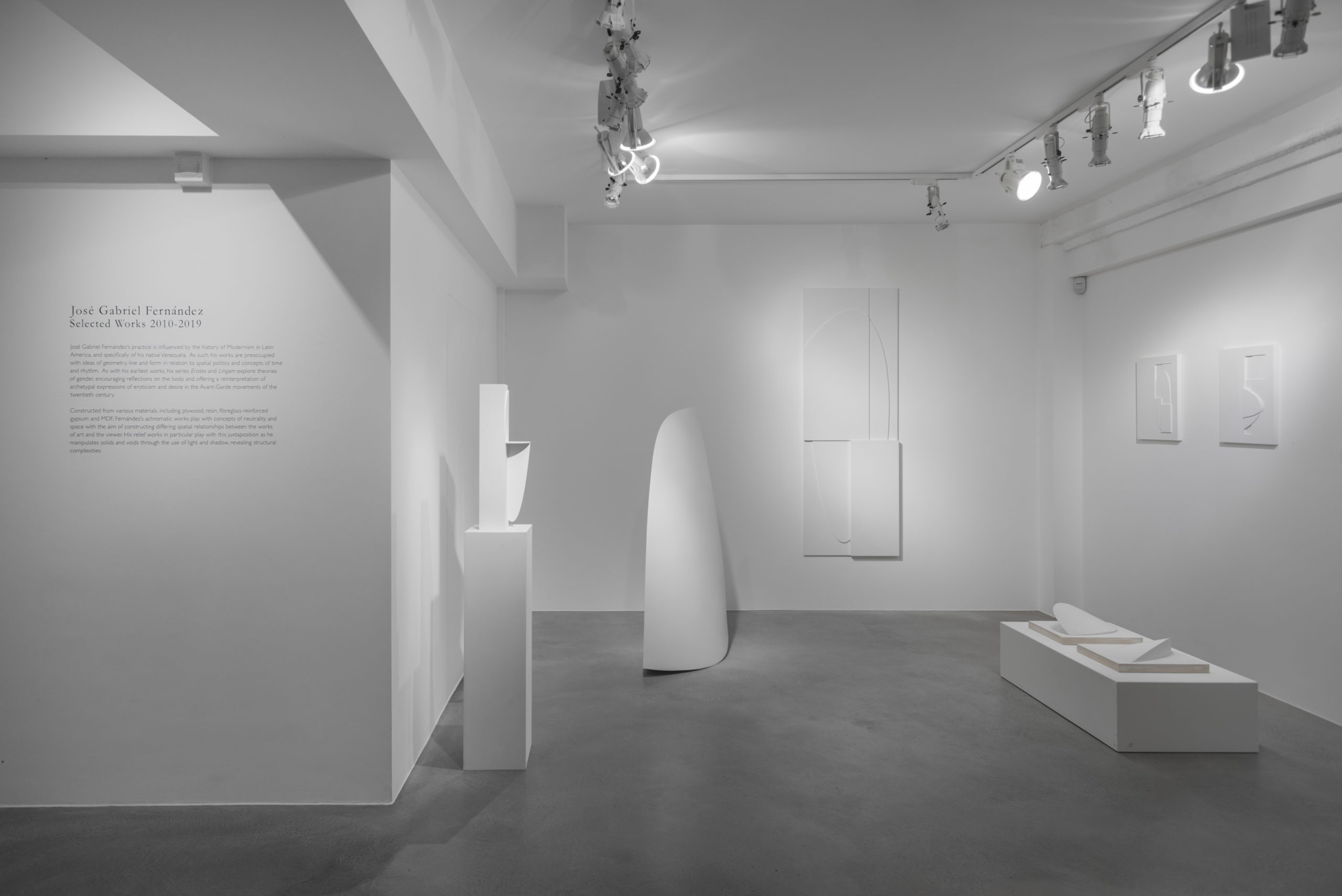 Jose Gabriel Fernandez Installation View