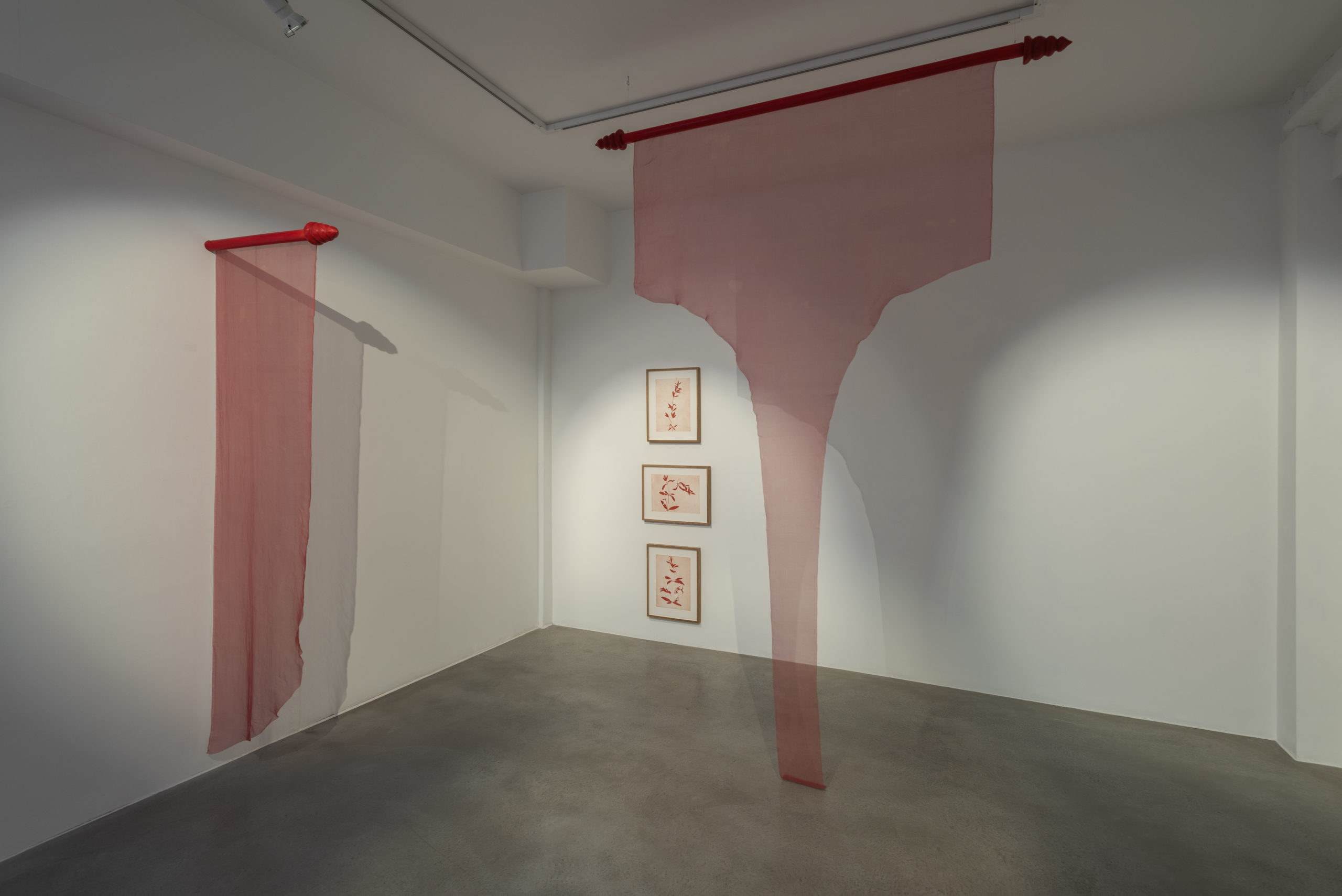 Gal Leshem Install Shot