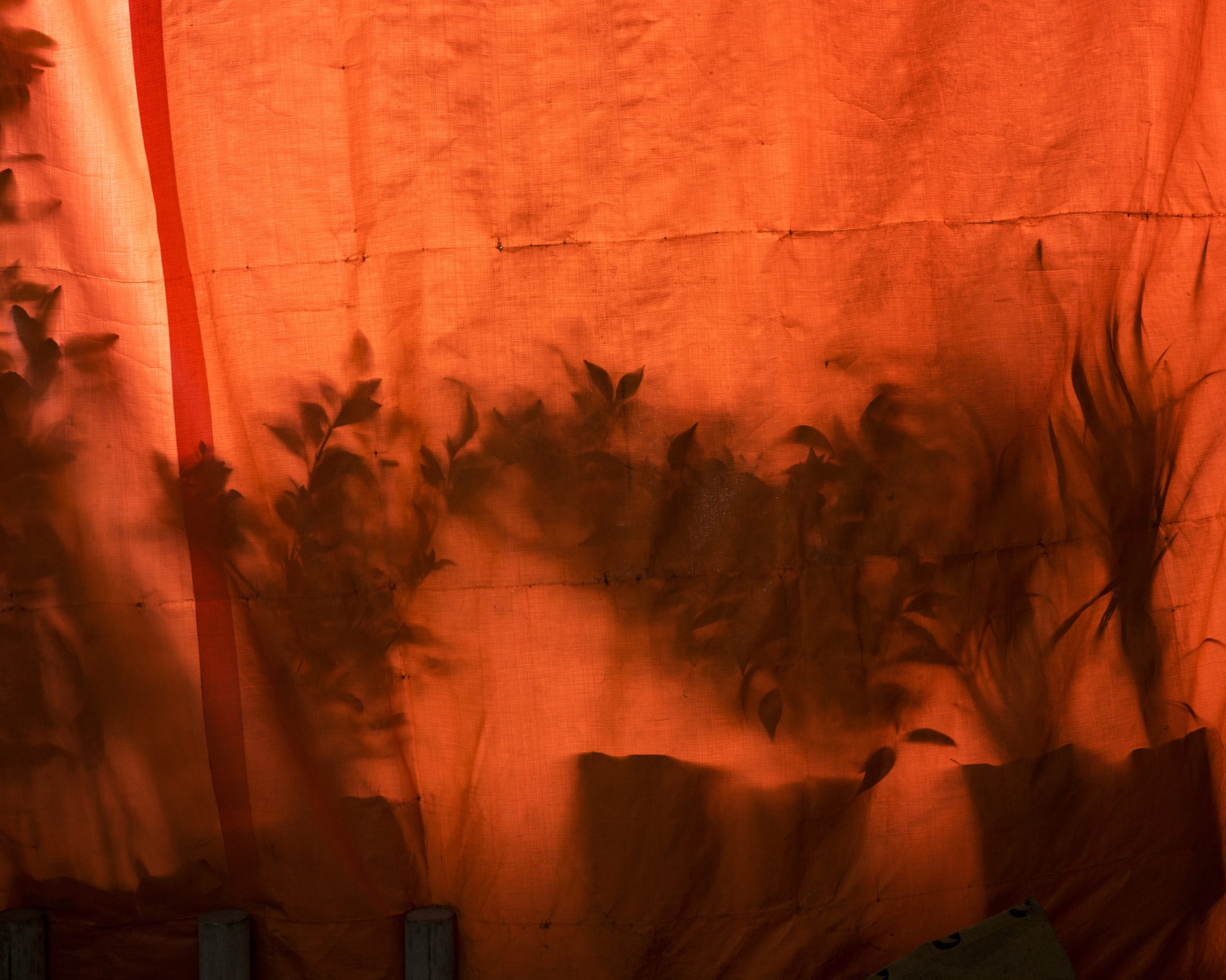 Orange Tarp, Cig Harvey