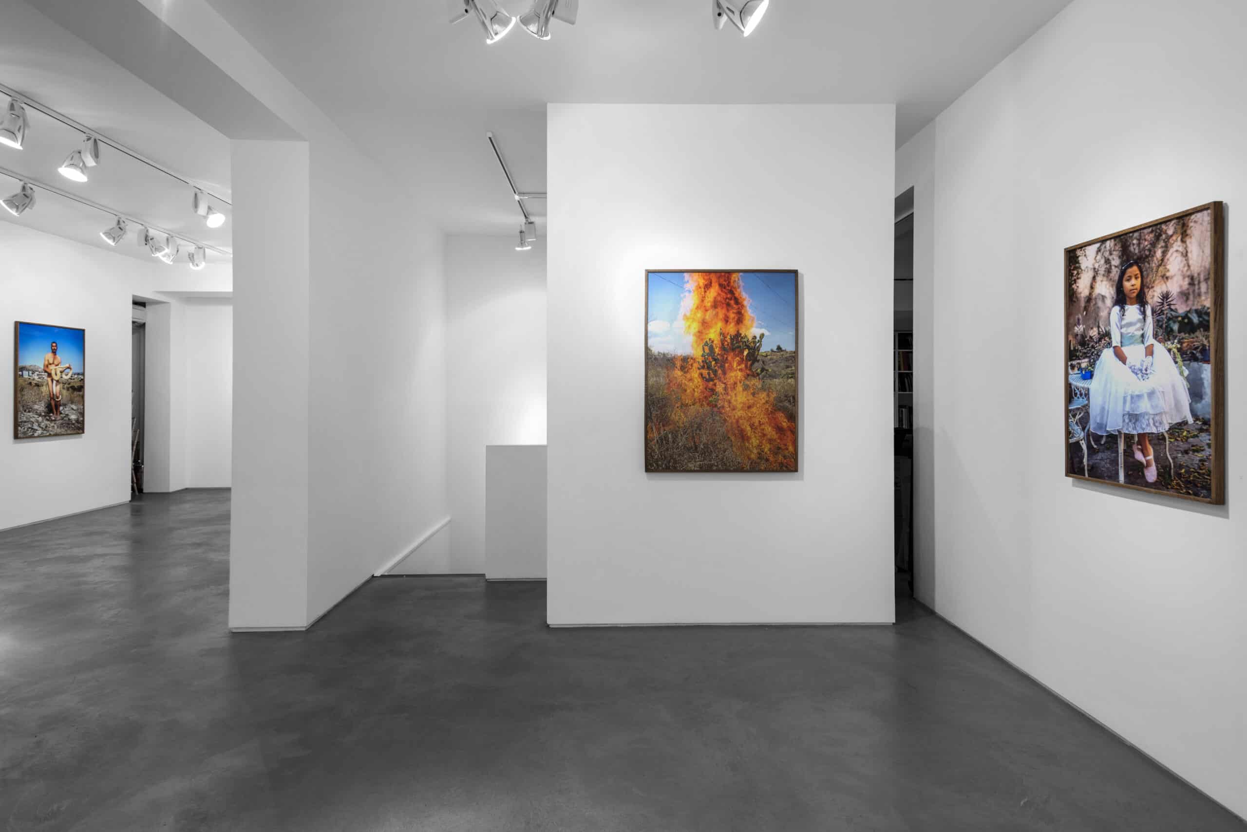 Pieter Hugo La Cucaracha, London Photography Exhibition 2020 at Huxley-Parlour, Swallow Street