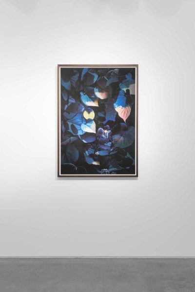 Floresta Negra - Huxley-Parlour Gallery