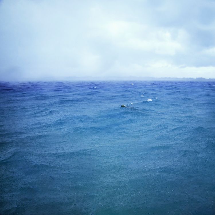 The Swimmer and the Squall, Castle Rhodes, Bermuda, Cig Harvey