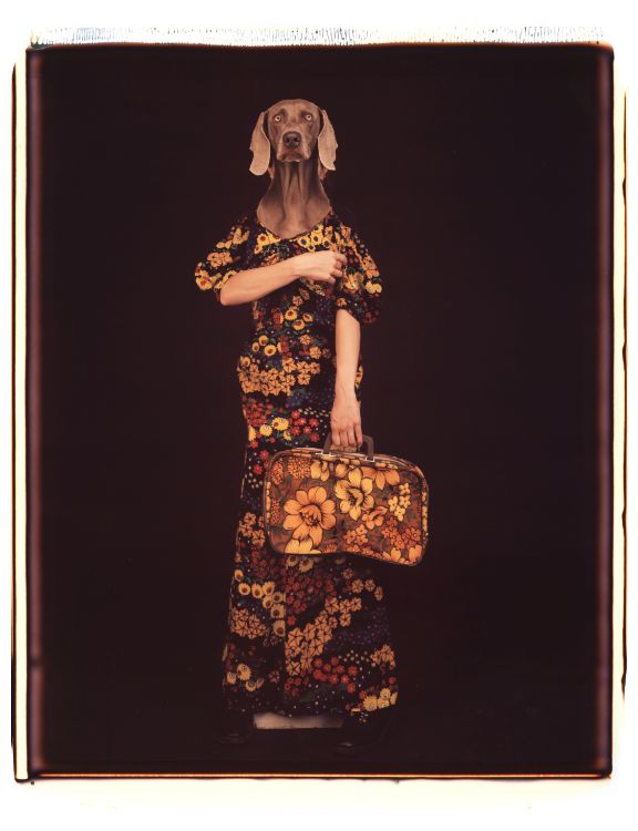 armed-and-matching-1989-by-william-wegman-BHC3357