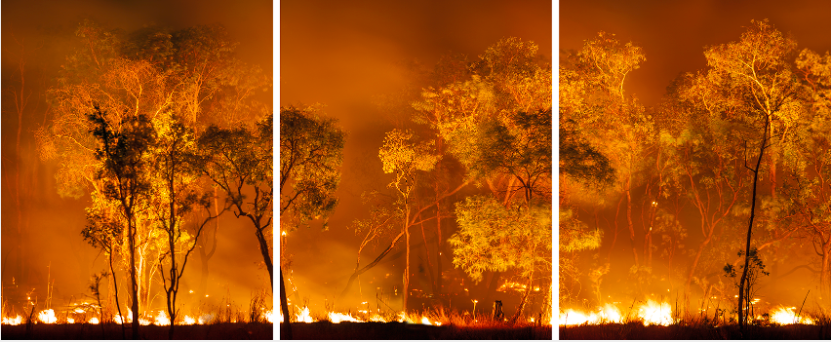 bushfire lit to clear land