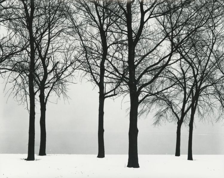 chicago-c-1950-by-harry-callahan-BHC3481
