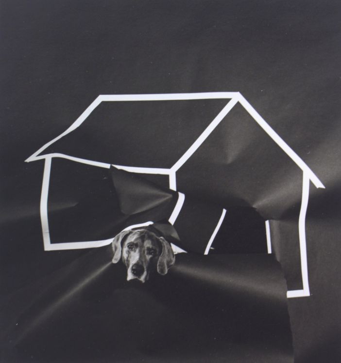dog-house-1981-by-william-wegman-BHC3386