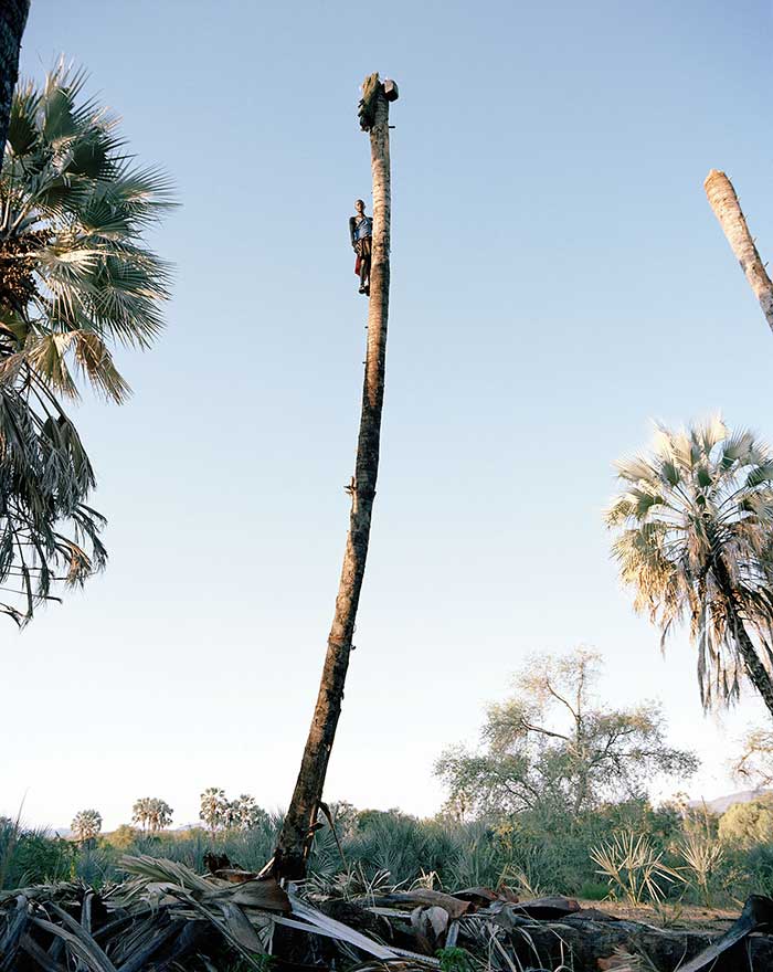 Kyle Weeks, Tjiari Joya, 2015