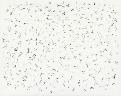 Harry Callahan - Huxley-Parlour Gallery