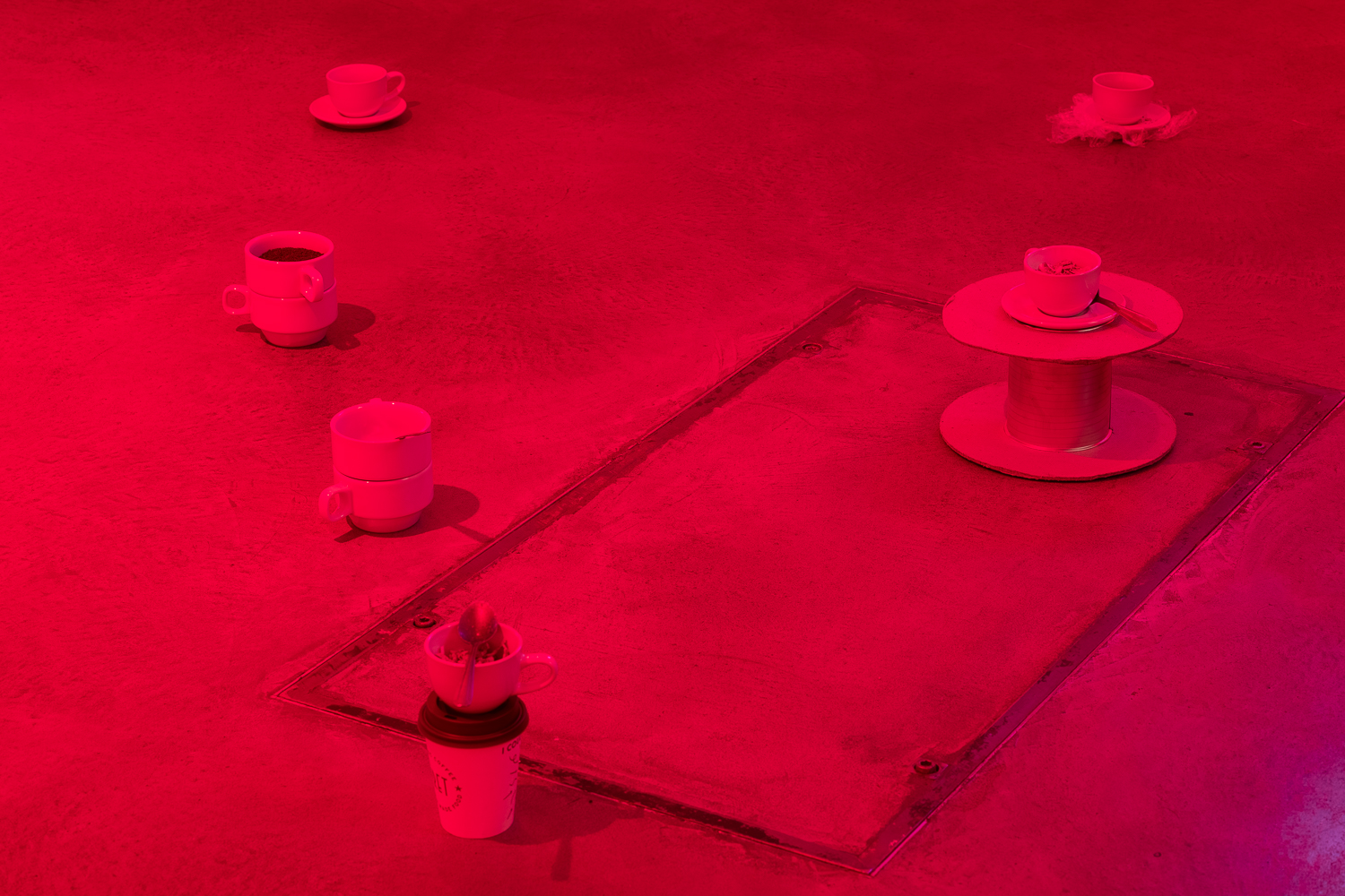 kara chin fountain of youth