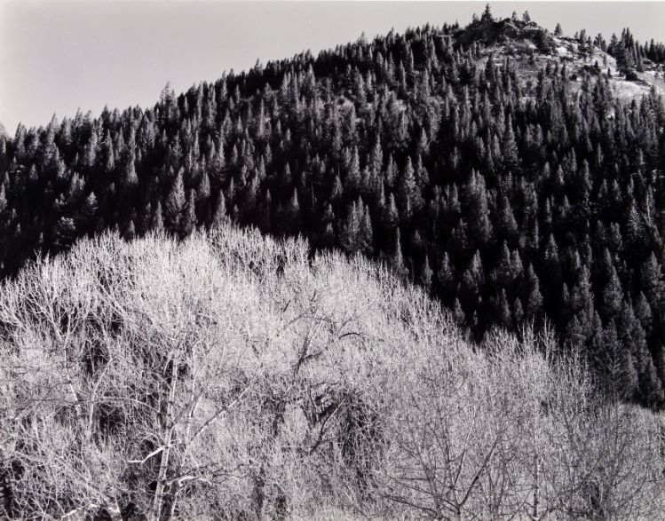 Landscape, circa 1935 Edward Weston