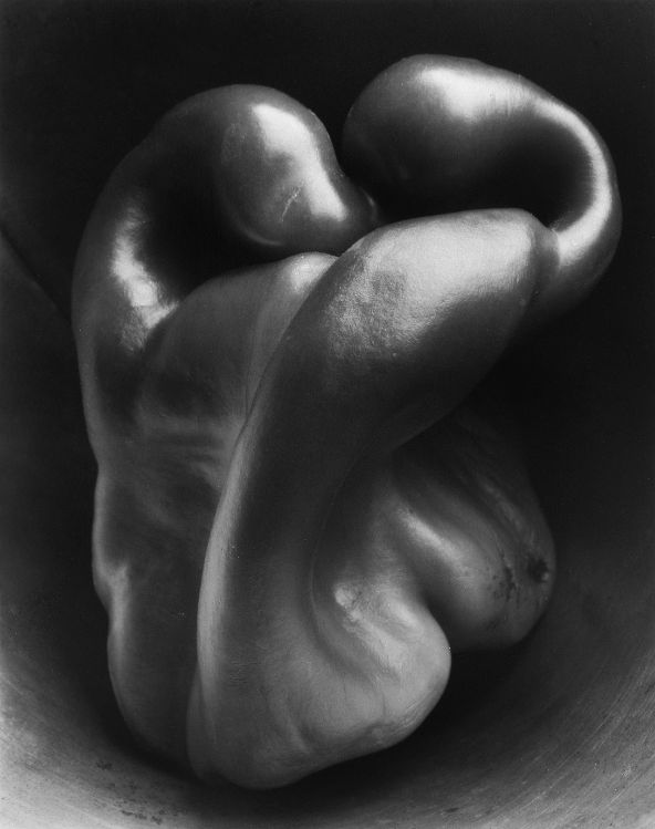 Pepper, 1930 Edward Weston