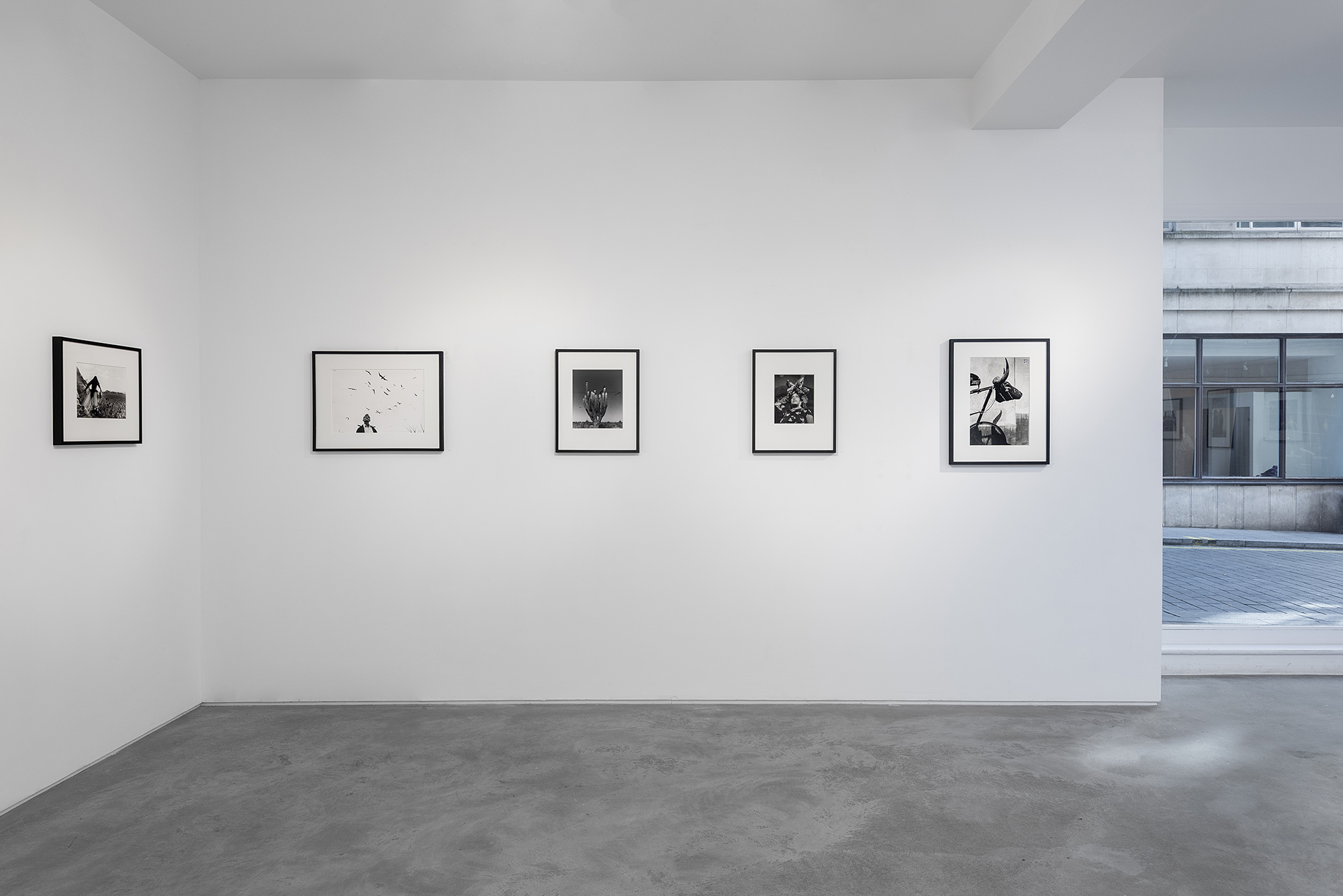 Echoes and Sediments Installation 2