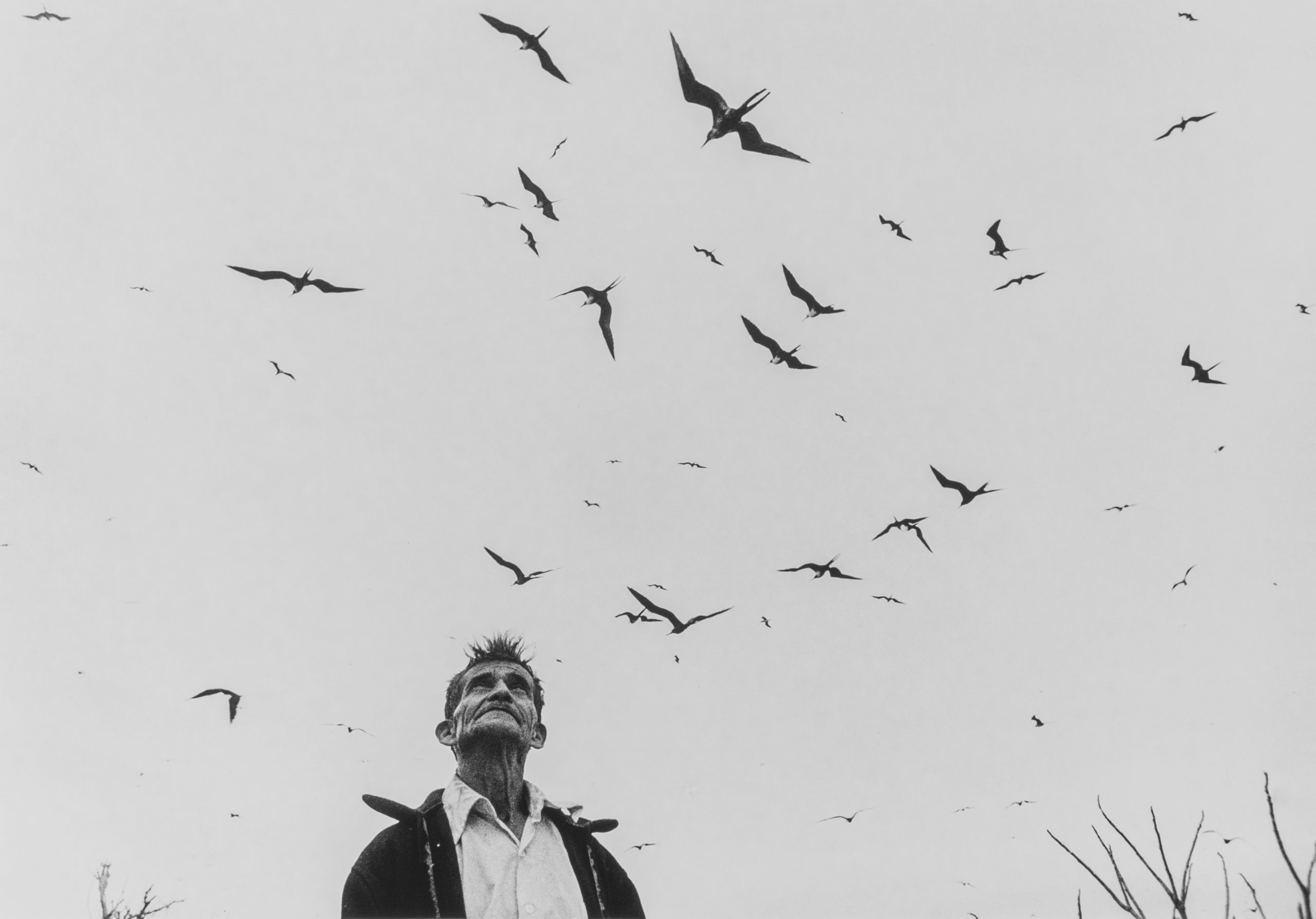Señor de los Pájaros [Lord of the Birds], 1985