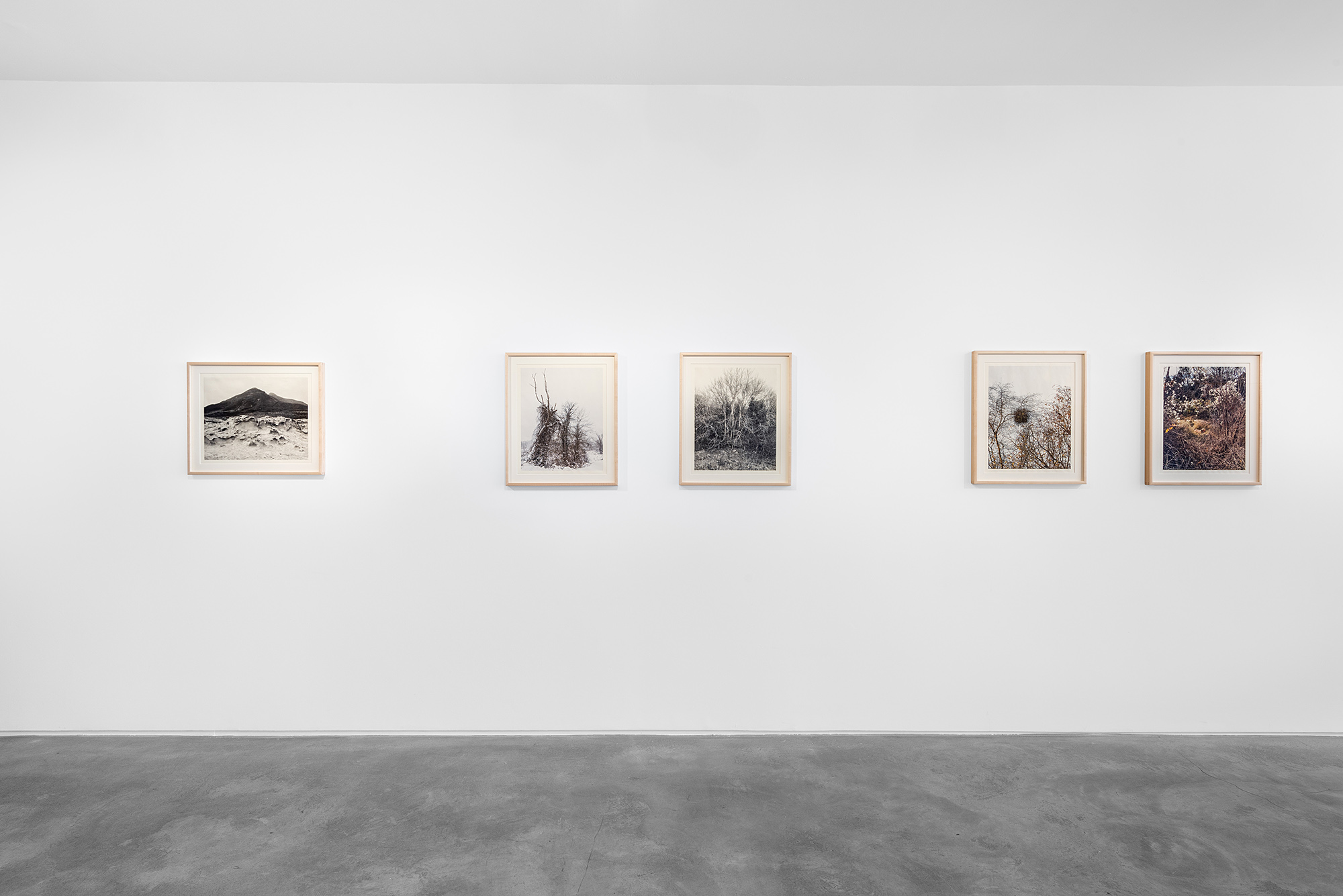 Vanessa Winship Installation at HUXLEY-PARLOUR, London. HUXLEY-PARLOUR GALLERY, FOUNDED IN LONDON IN 2010 BY GILES HUXLEY-PARLOUR, IS A FORWARD-THINKING MODERN AND CONTEMPORARY ART GALLERY.