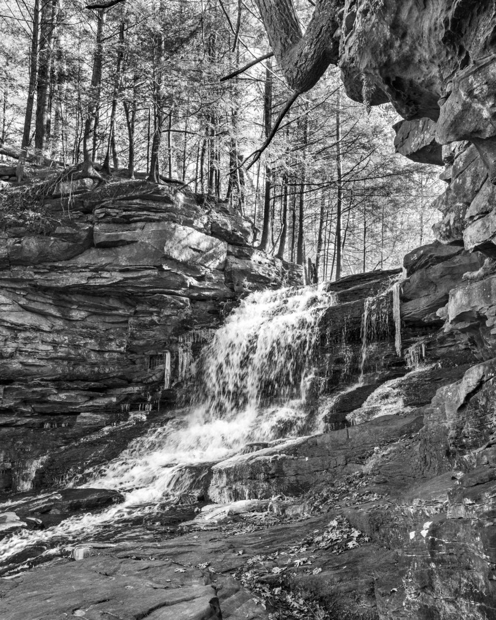 VANESSA WINSHIP Waterfall and Trees, Mohawk-Waterway, Ohio, USA, 2020