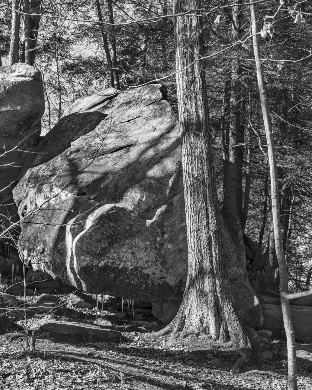 VANESSA WINSHIP Rock in Sunlight Number II, Ohio, USA, 2020