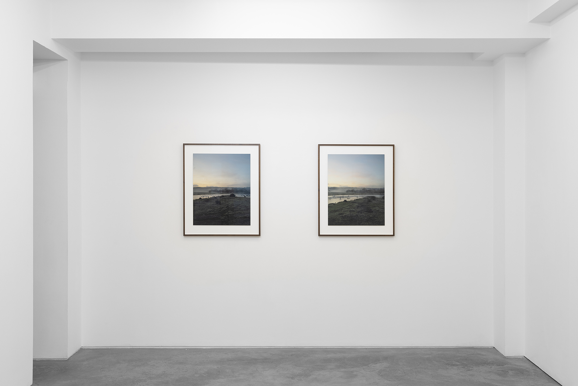 Jem Southam: The Seventh Winter. Huxley-Parlour Gallery, 3–5 Swallow St, W1B 4DE
