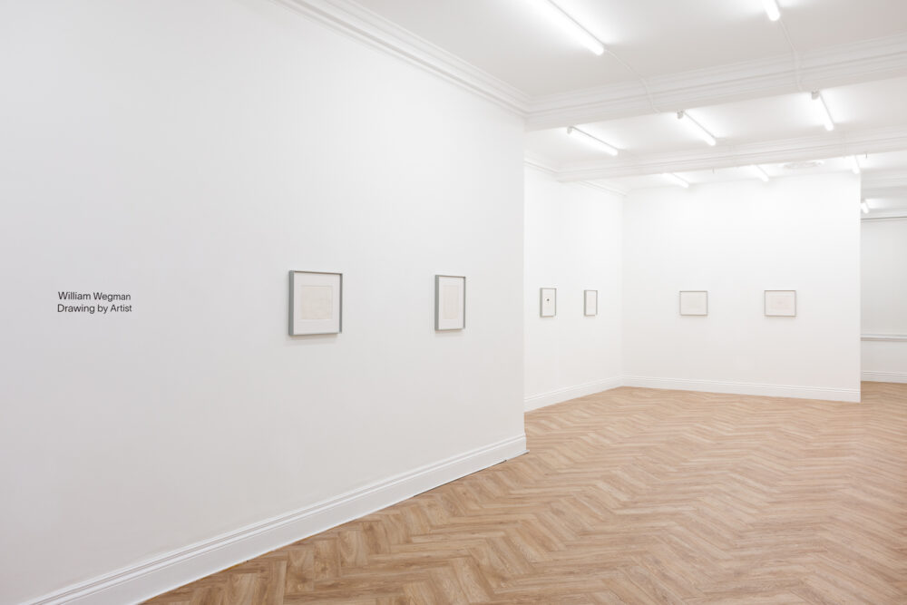 Drawing by Artist HuxleyParlour Gallery