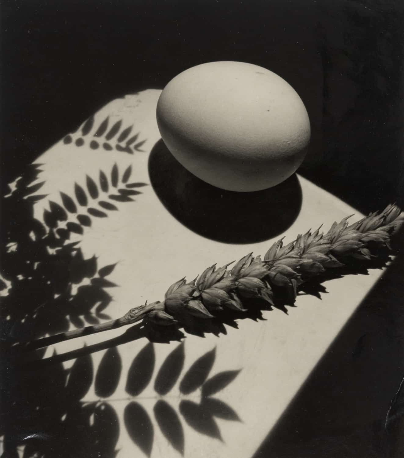 Jaroslav Rössler, Still-life with Ear of Wheat and an Egg, 1958. Modern Objects, Huxley-Parlour Gallery, 3–5 Swallow St, London, W1B 4DE.