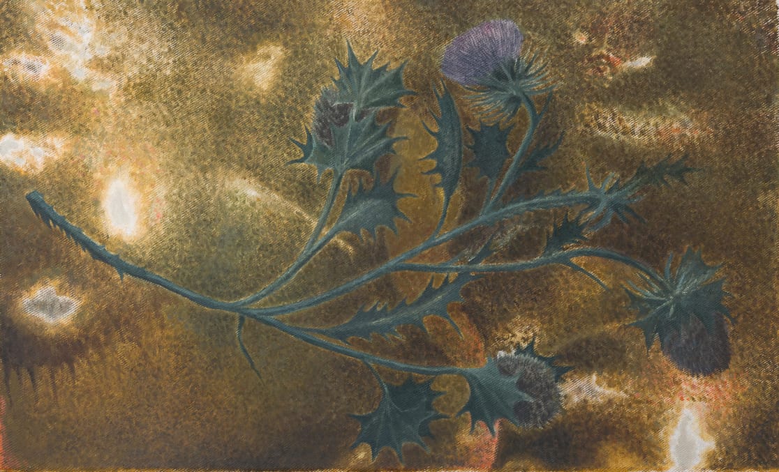 Untitled (Thistle), Rafal Topolewski