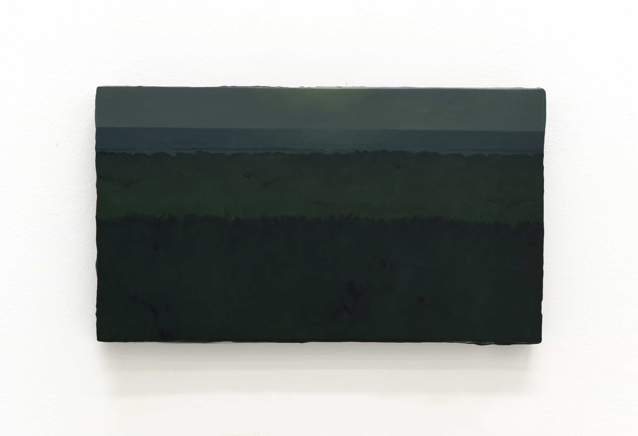 Sarah Schlesinger, Hedge with View Study