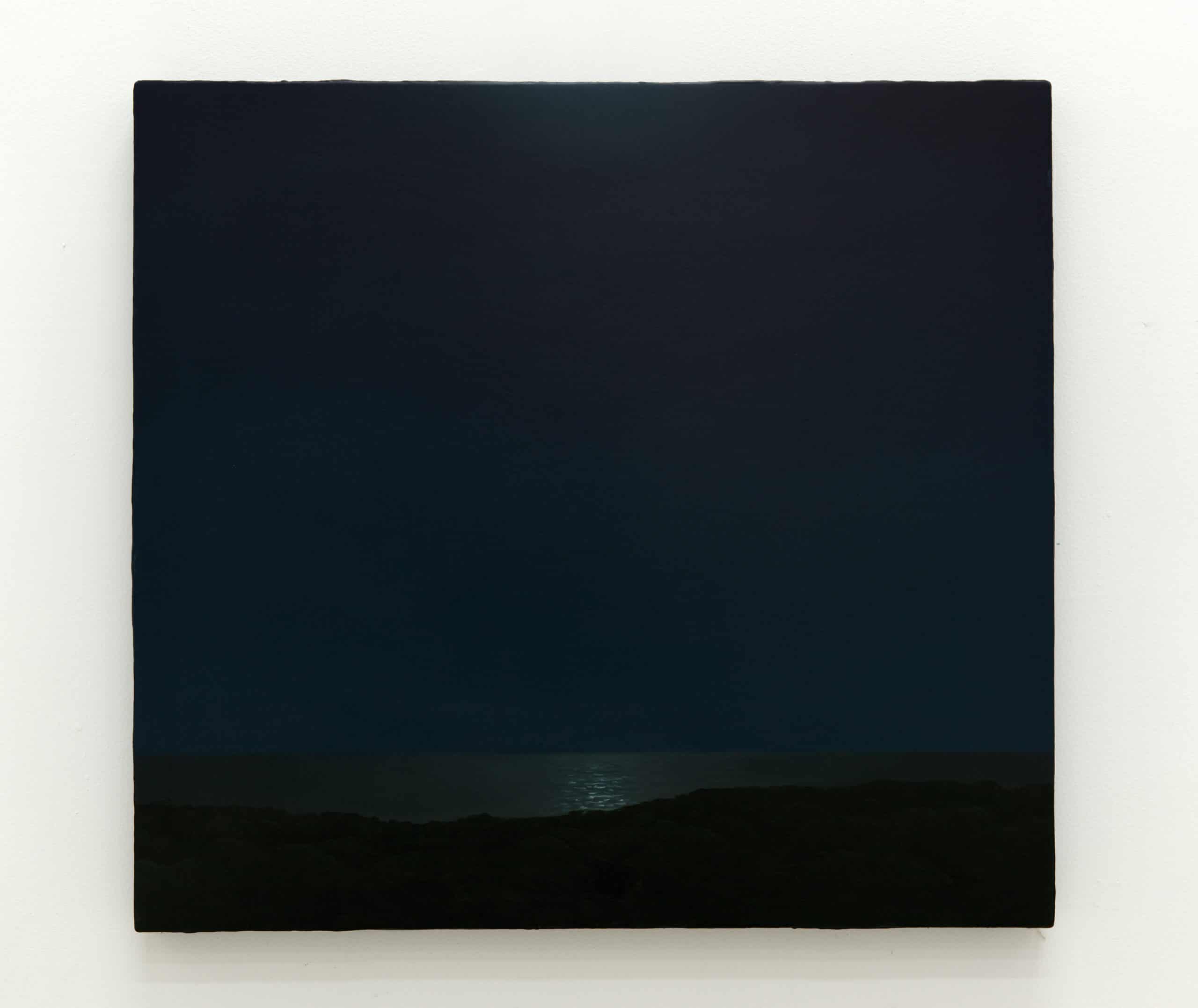 Sarah Schlesinger, Night View