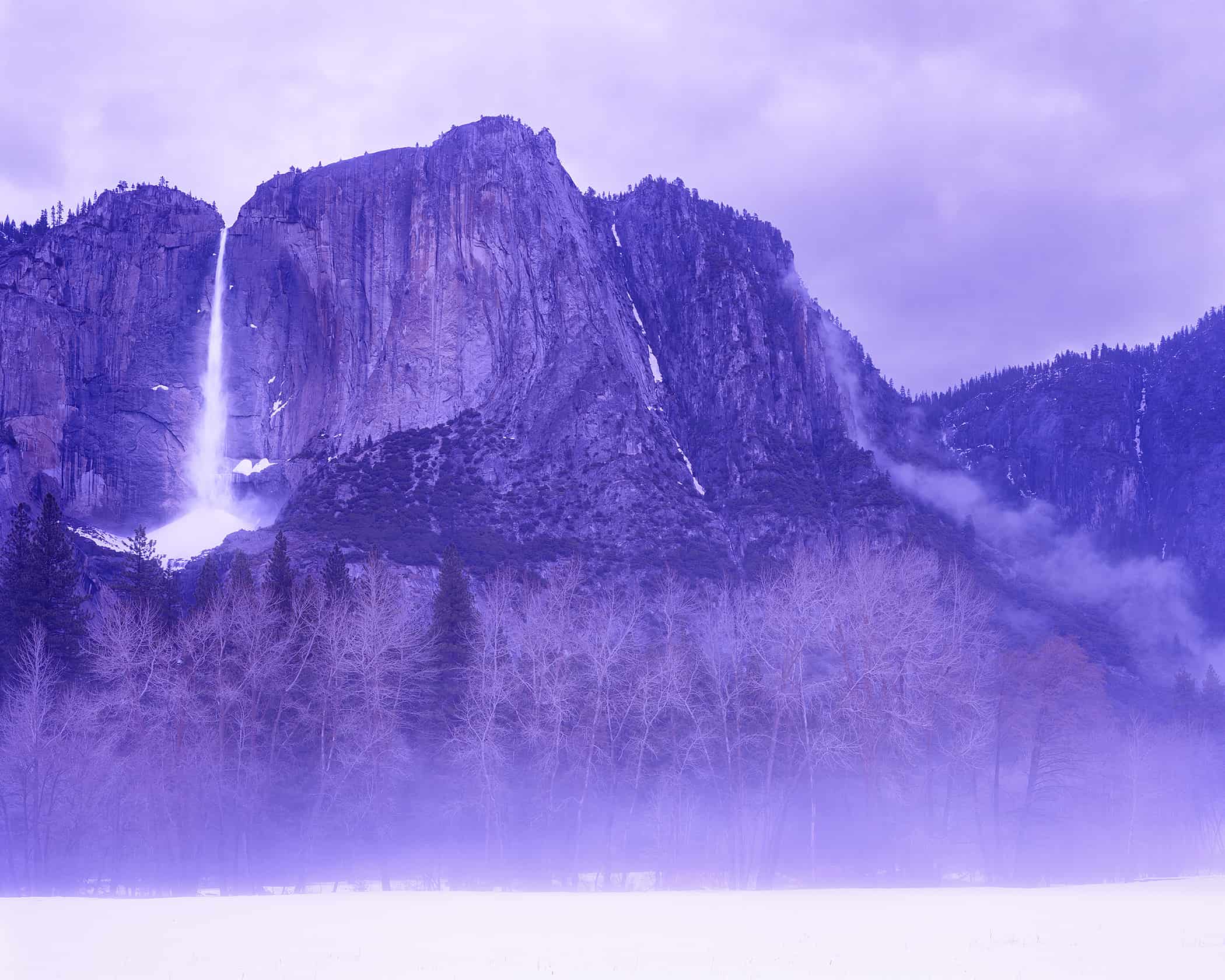 David Benjamin Sherry Yosemite, Huxley-Parlour