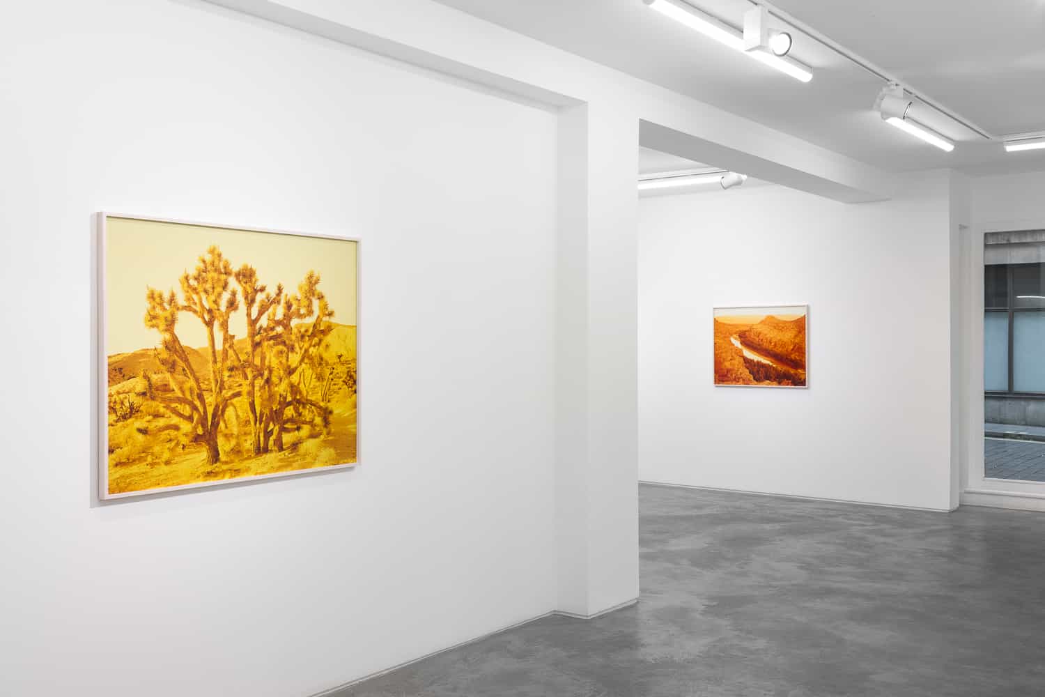 Huxley-Parlour, Swallow Street Exhibition Mother by David Benjamin Sherry