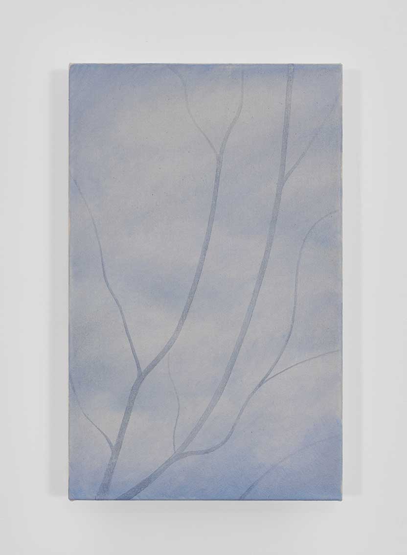 Callum Harvey, Untitled (Branches), 2023