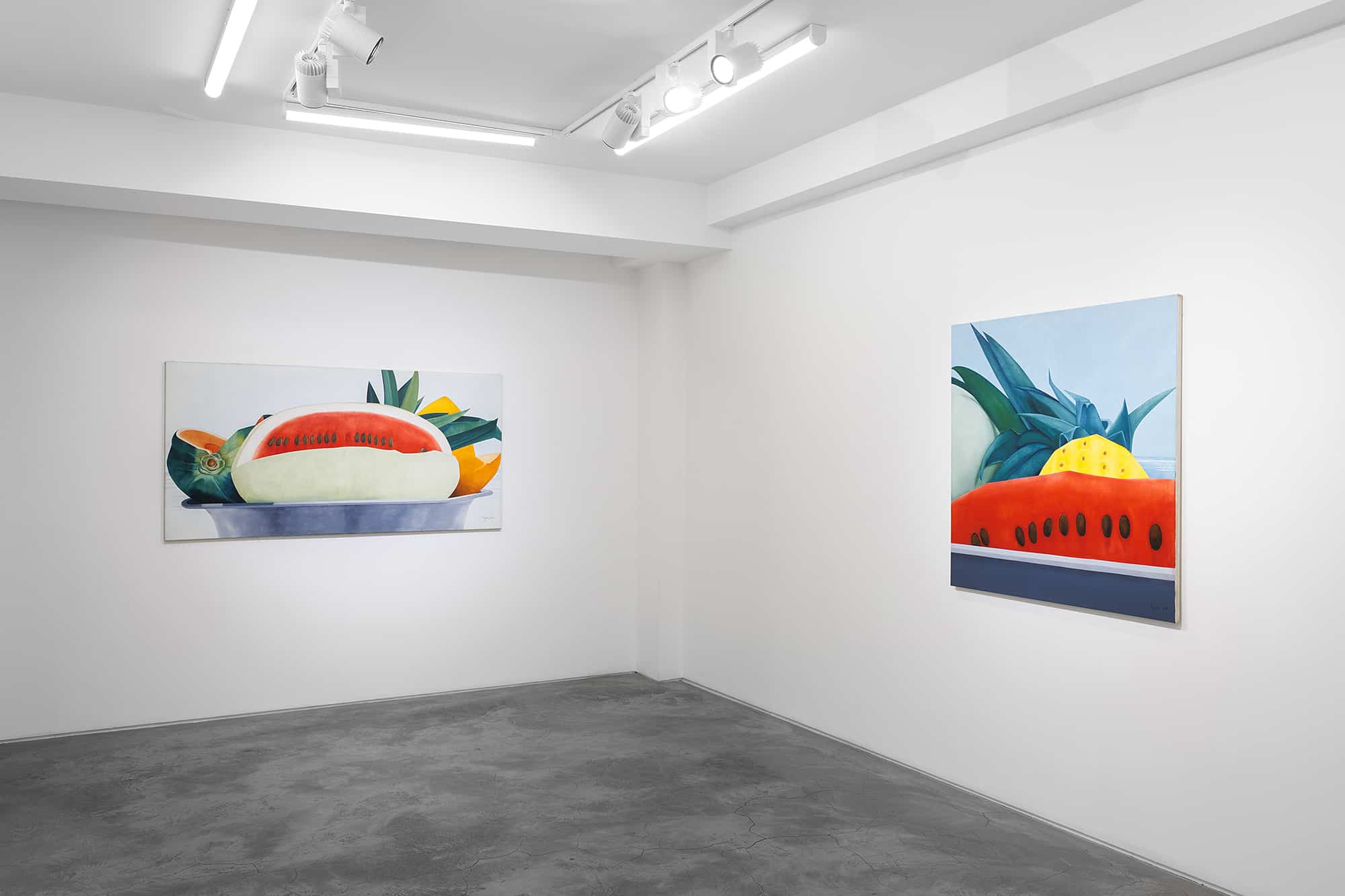 Huxley-Parlour, Ana Mercedes Hoyos, Swallow Street, 2023, install 2