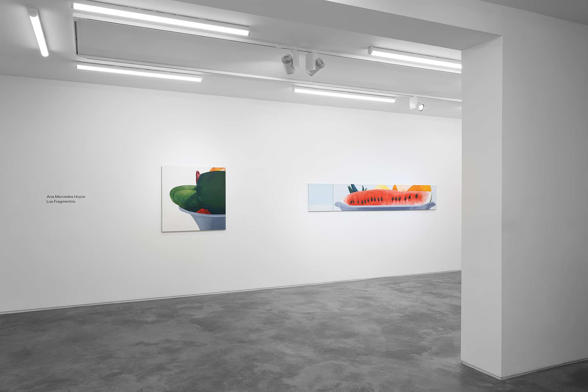 Huxley-Parlour, Ana Mercedes Hoyos, Swallow Street, 2023, install