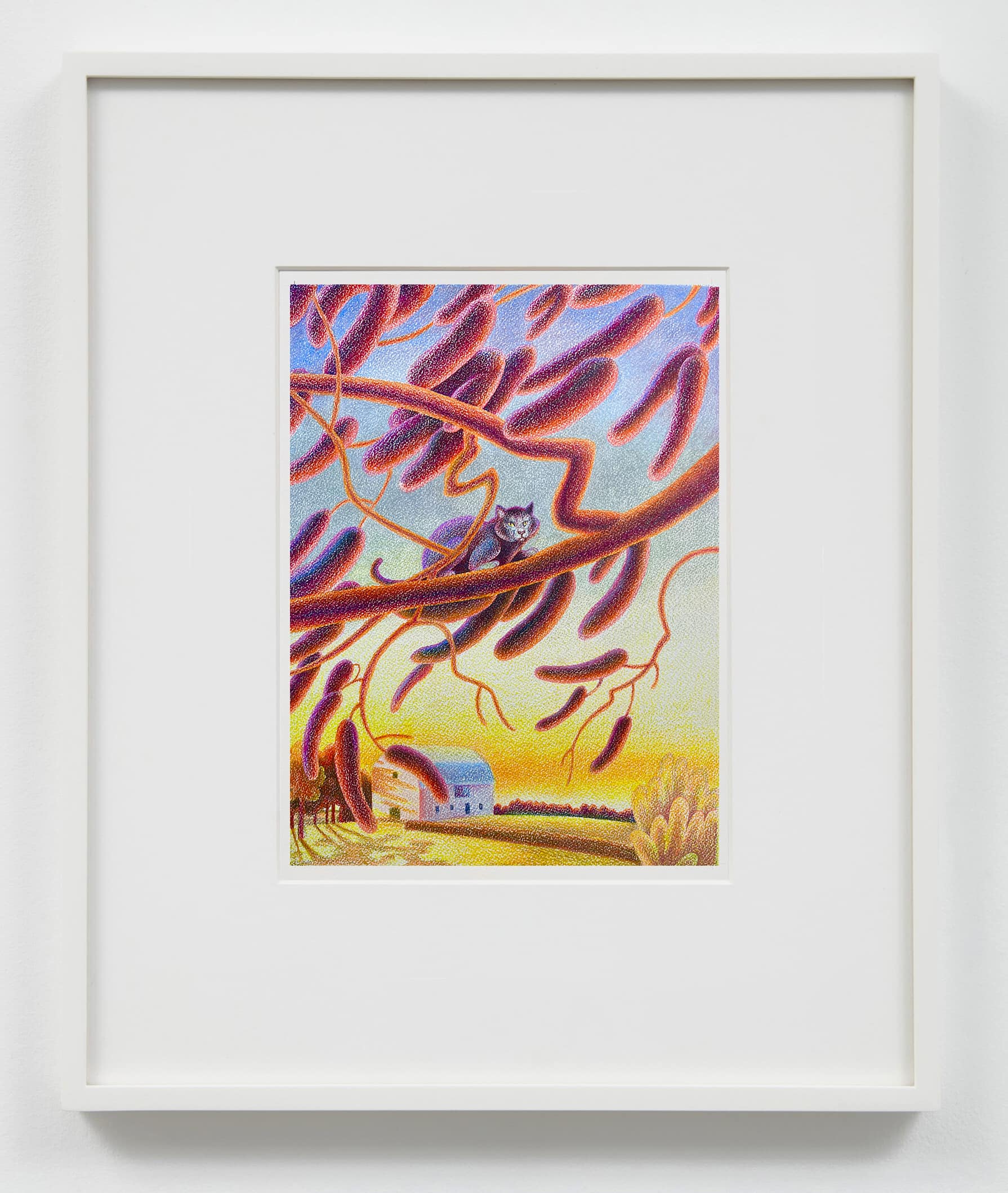 Madeleine Bialke, Leaves of Grass (Cat in Larch), 2023, framed