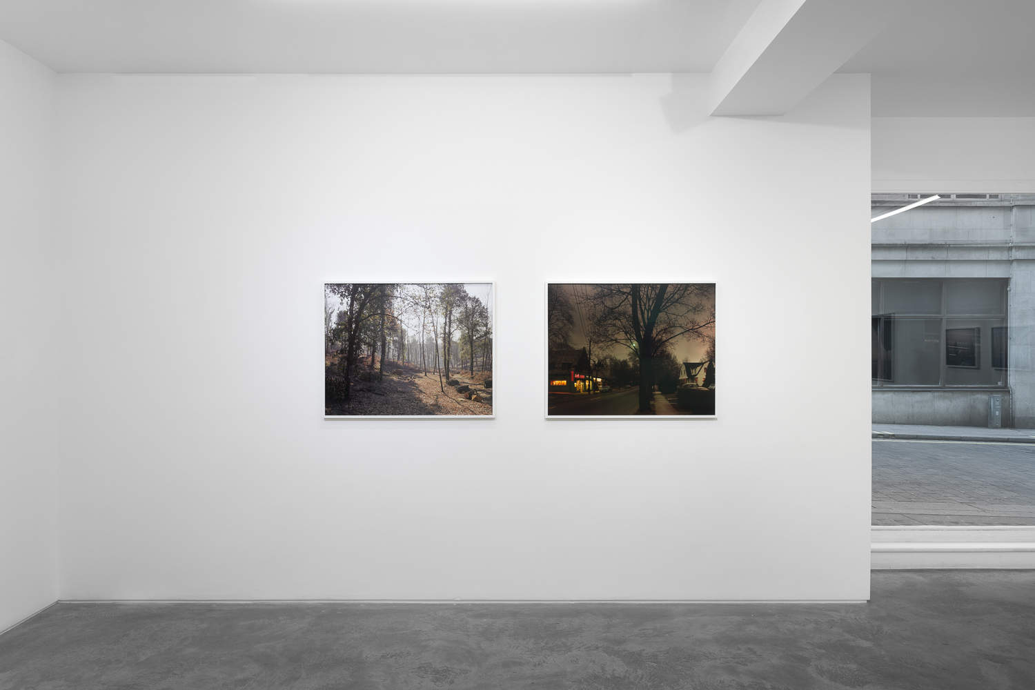 Huxley-Parlour-Joel-Meyerowitz-install-3