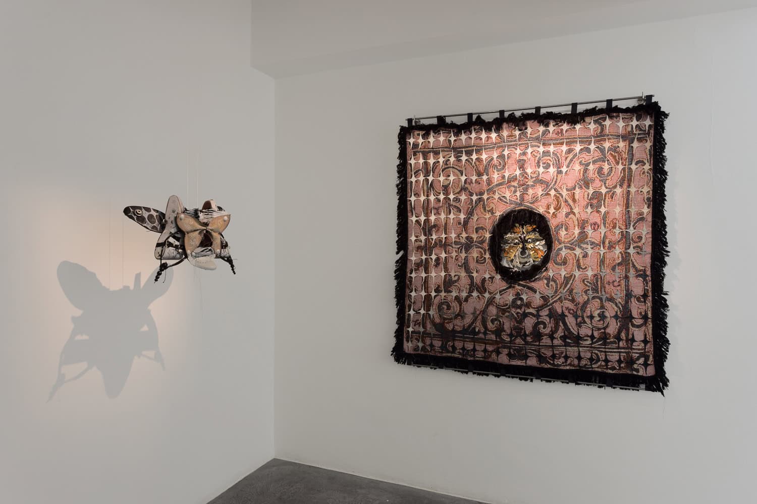 Jakob Rowlinson, Thirteen Fools, Installation View