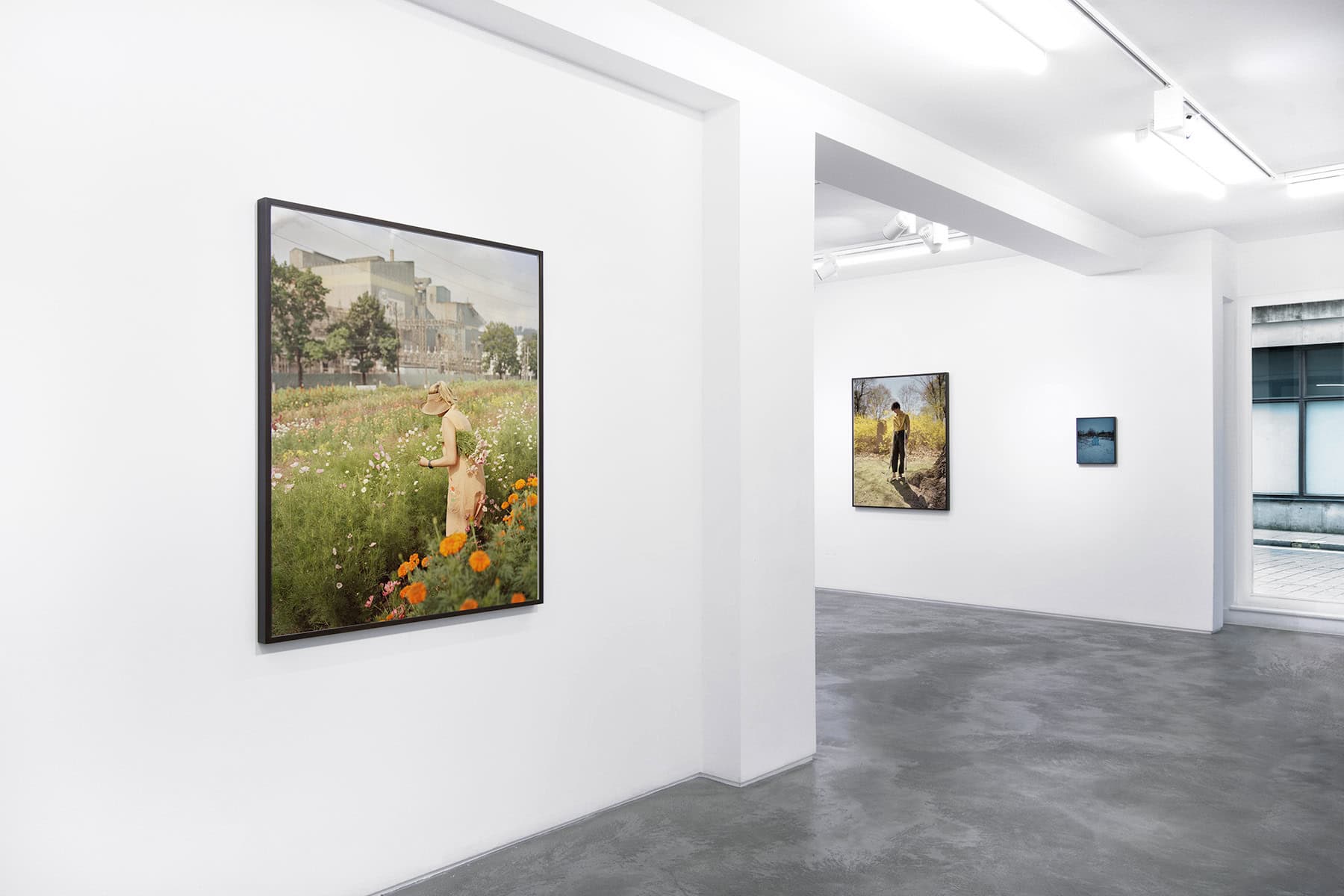 Gregory Halpern, King, Queen, Knave, Swallow Street, 2024 (1)
