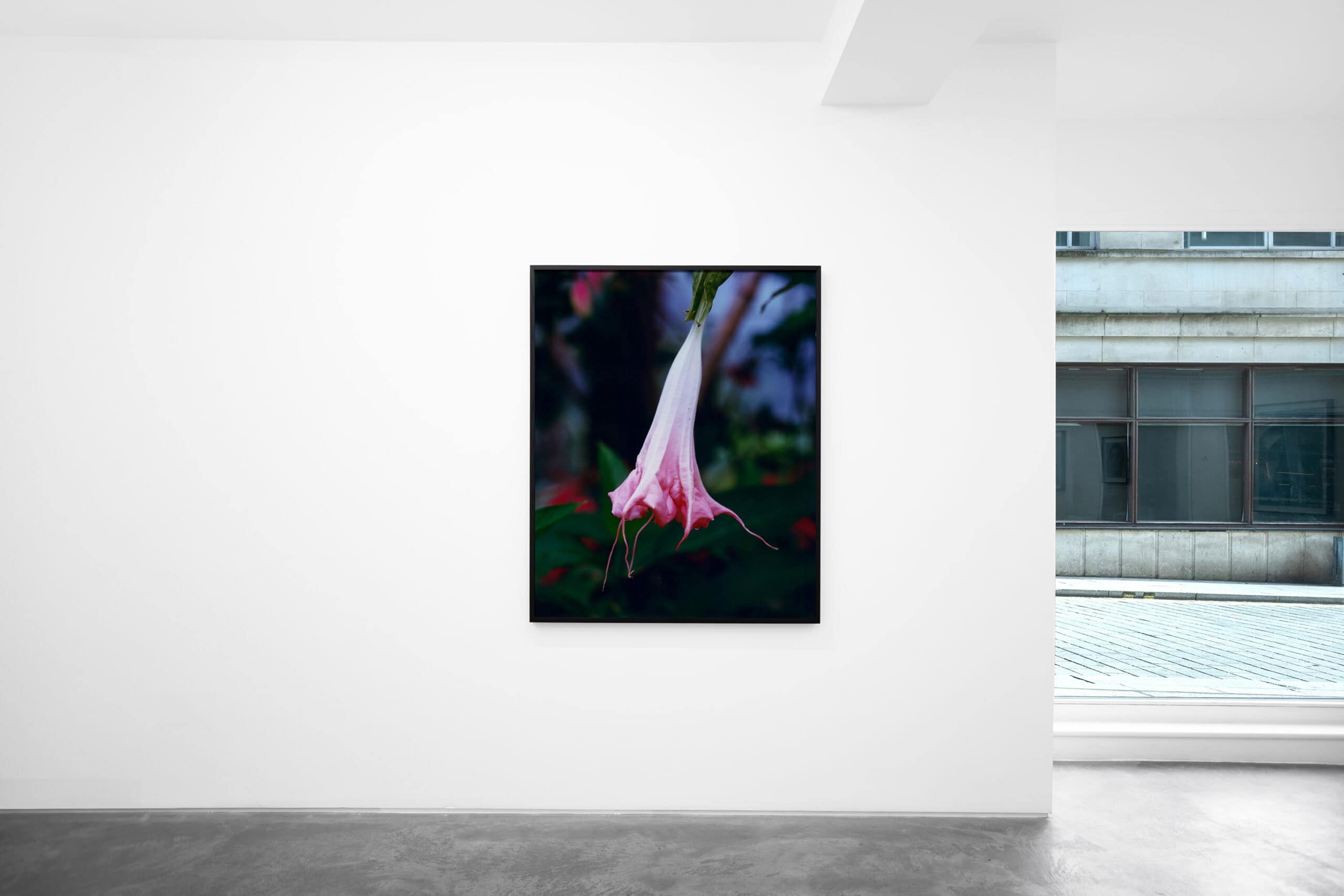 Karen Biswell Exhibition March 2025 at Huxley-Parlour, Swallow Street