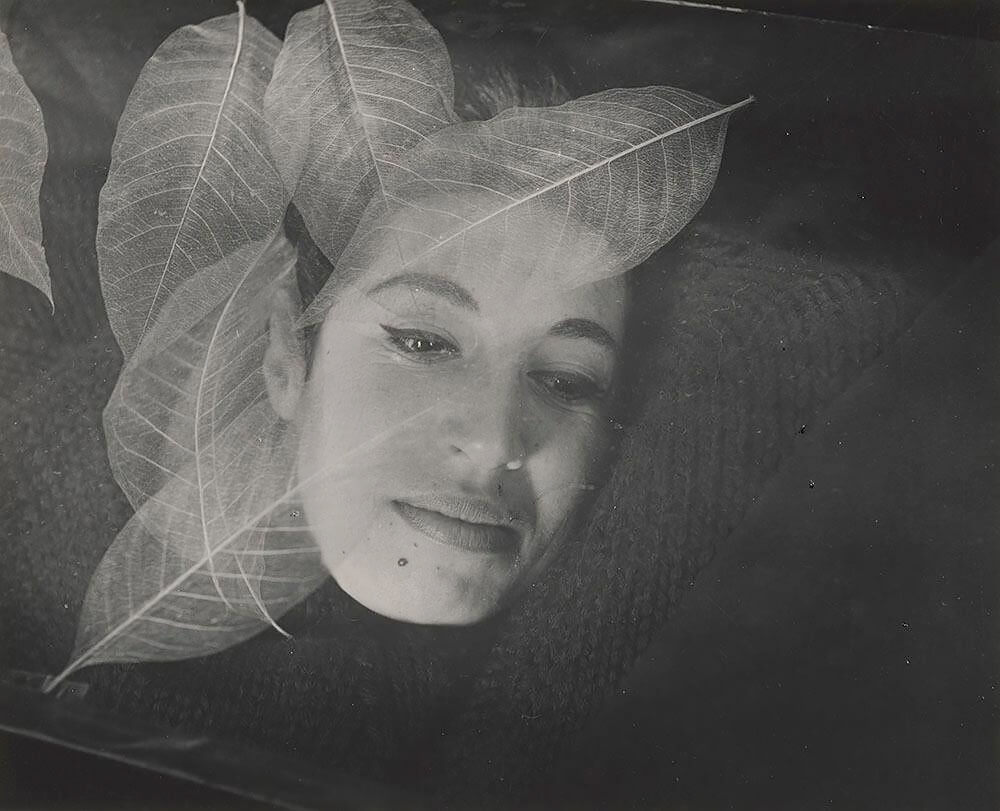 Imogen Cunningham, Taiwan Leaves, 1963