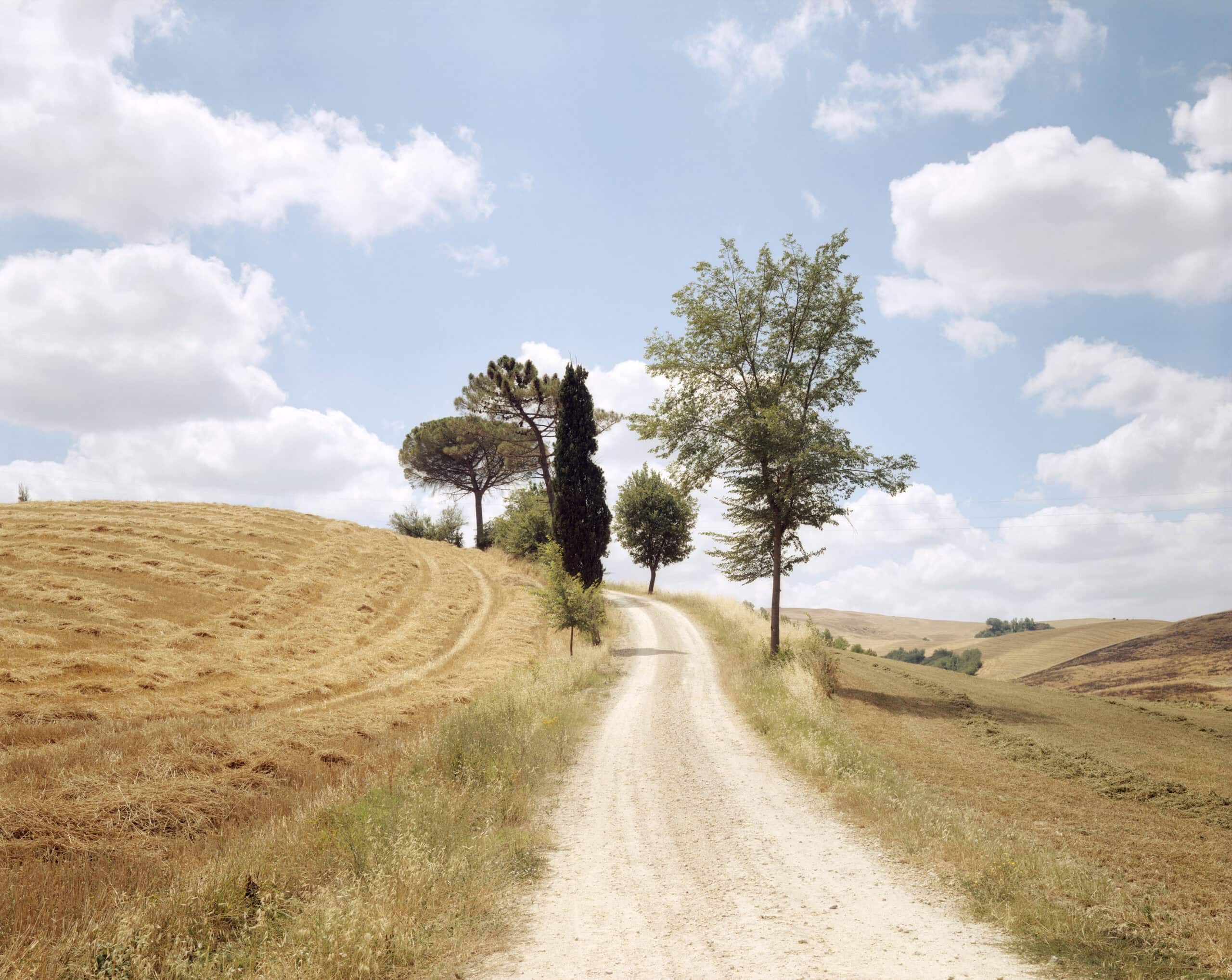 Joel Meyerowitz Huxley-Parlour