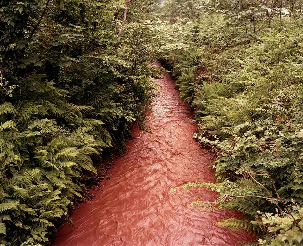 Jem Southam, The Stream at Menadarva, 1982-1994, The Red River, 24.10–22.11.24