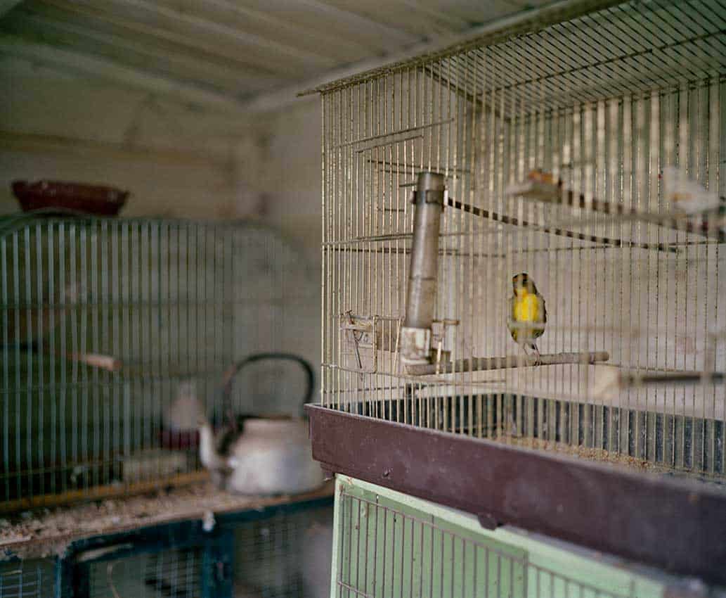 Jem Southam, The Last Songbird, Troon Zoo, 1982-1994, The Red River, 24.10–22.11.24
