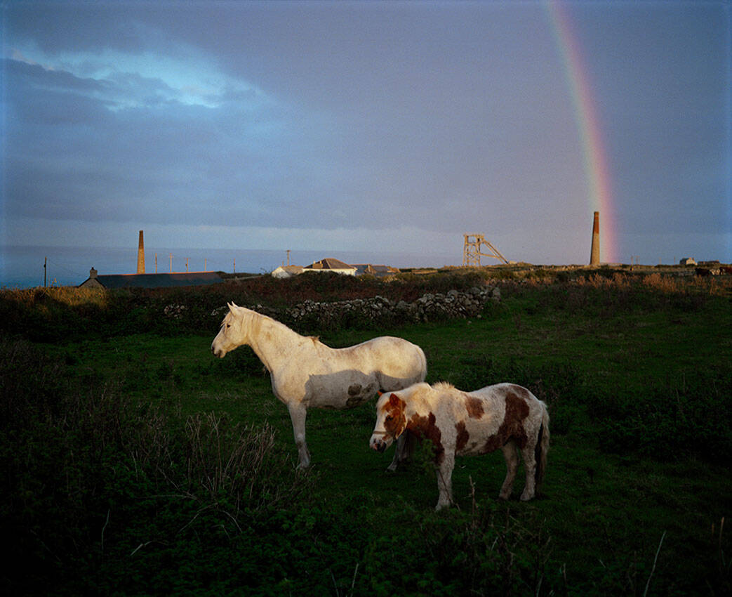 Jem Southam, Two Horses, Pendeen, 1982-1994, The Red River, 24.10–22.11.24