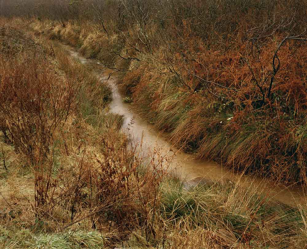 Jem Southam, Bolenowe Moor, 1982-1994, The Red River, 24.10–22.11.24