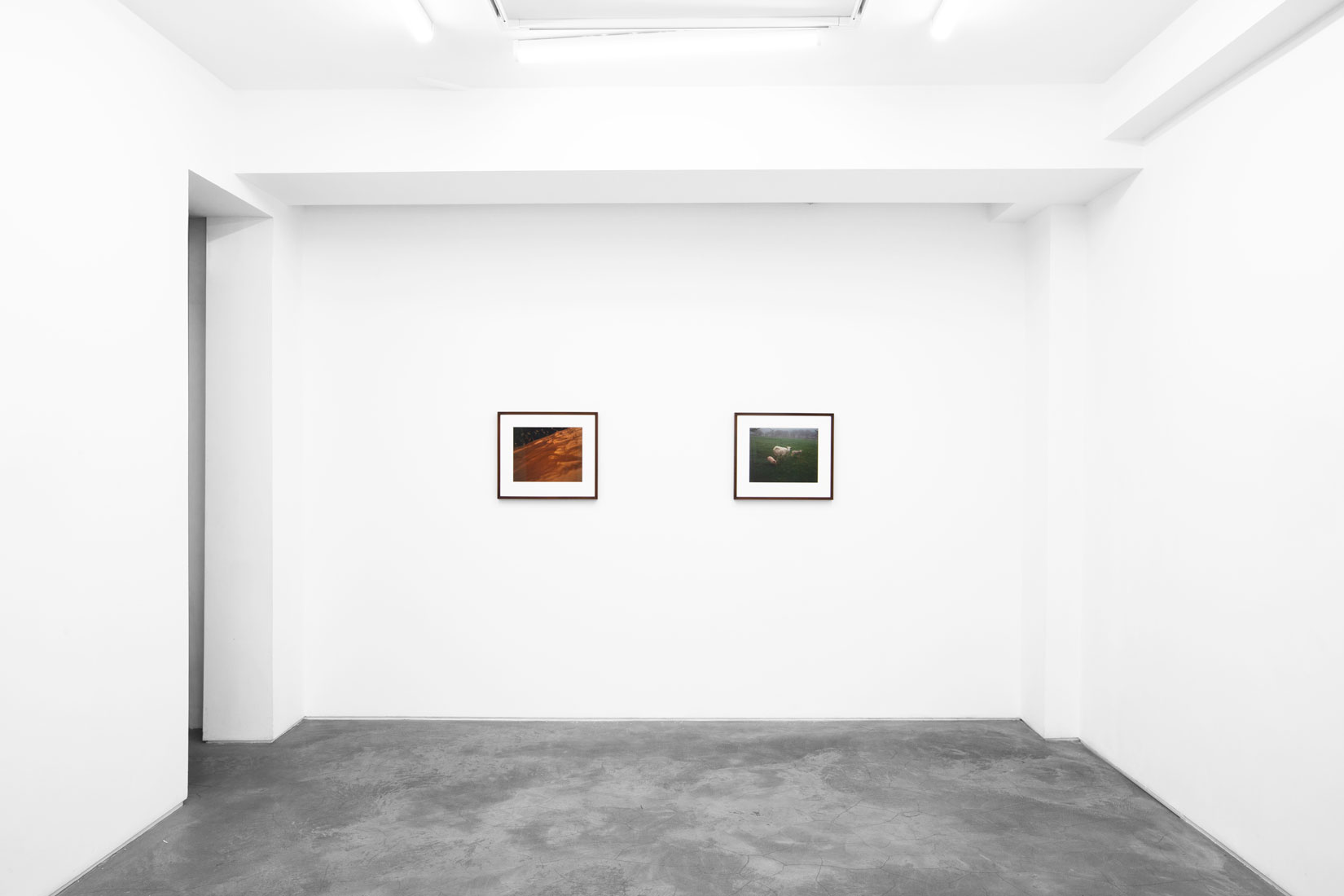 Jem Southam, The Red River, 24.10-22.11.25, Huxley-Parlour Swallow Street