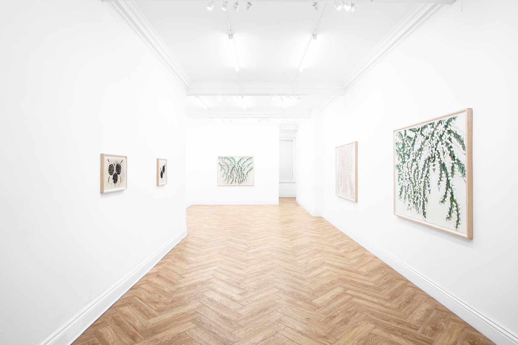 Donald Sultan, Drawings, Huxley-Parlour, Maddox Street, 28.11.25-17.01.26
