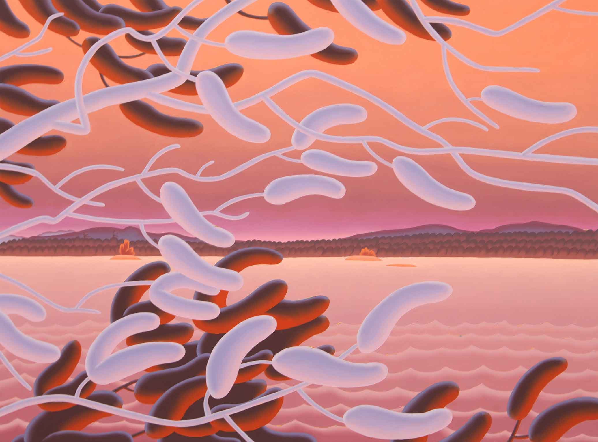 Madeleine Bialke, Ever the Mutable, 2025