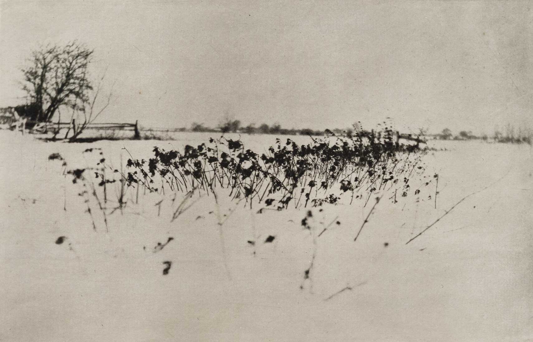 Emerson, The Snow Garden