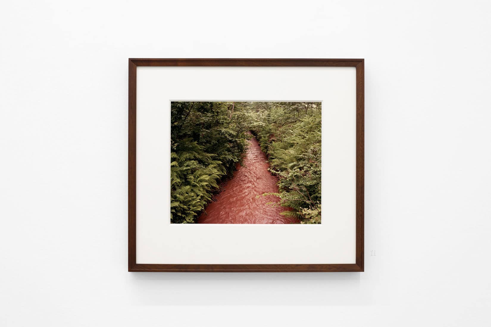 Jem Southam - Huxley-Parlour Gallery